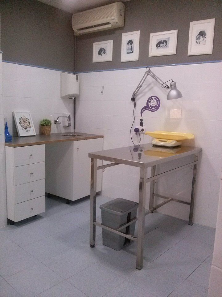 clinica-veterinaria-Valencia